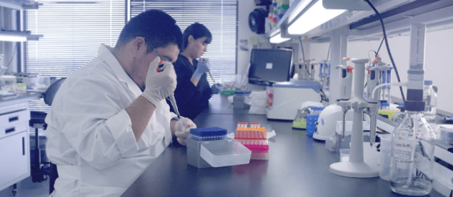 4 hyppige myter om DNA-testning